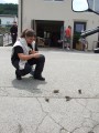 Fix eteti a jóléttõl eltelt osztrák verebeket.