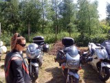és vissza a hagyományos motorokhoz