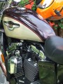 Sportster vagy sportszer?