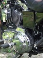 1200 ccm.