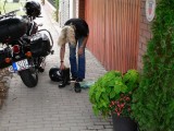 Az érkezés utáni pillanatok: Gabi cipõt vált.