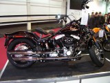 HD Cross Bones