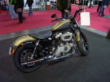 Sportster 1200 Nightster