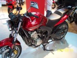 Honda CBF 600 by Angel