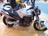 Honda Hornet 900 by Angel