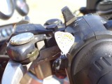 Újabb potyautas a Kawán, egy citromlepke. Valami feromon lehet a motoron, hogy ennyi rovar vonzódik hozzá: az eleje is állandóan bogaras!