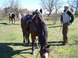 Hol maradt a Colt?