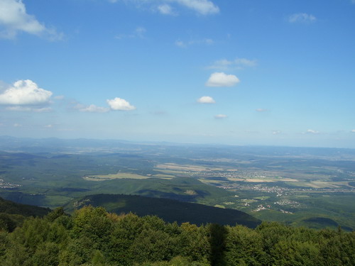 Pali___Sanyi_t_r_ja_2006.09.11._09.16_103_resize.jpg