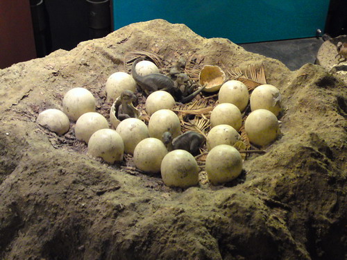 P29_03_09_13.10_01__resize.JPG
