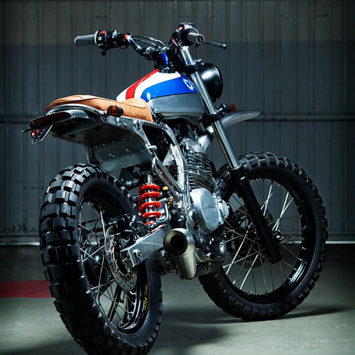 honda_nx650_2_resize.jpg
