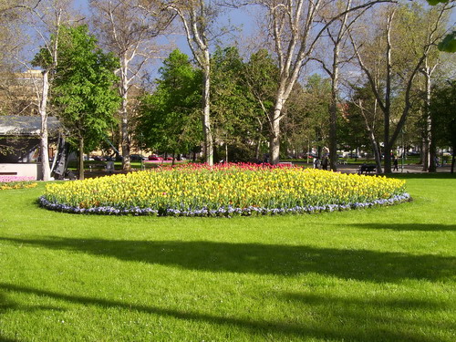 100_3379_resize.jpg