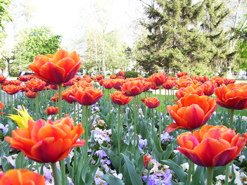 100_3380_resize.jpg