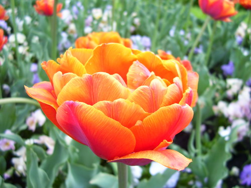 100_3381_resize.jpg