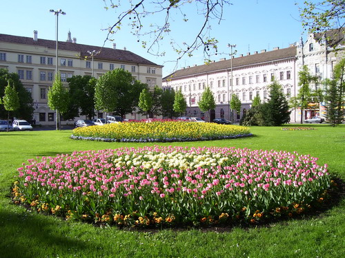100_3382_resize.jpg