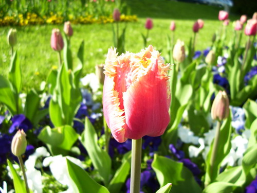 100_3385_resize.jpg