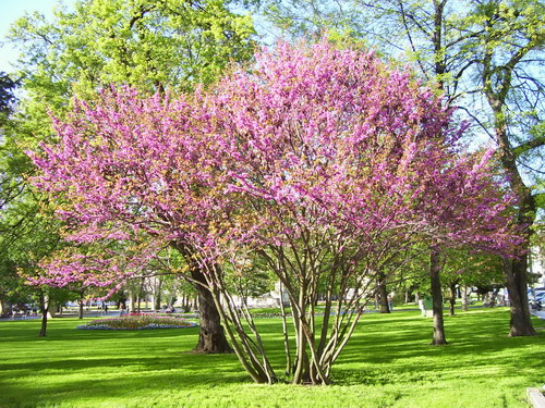 100_3386_resize.jpg