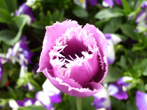 100_3398_resize.jpg