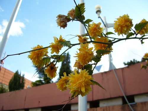 100_3415_resize.jpg