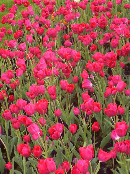 100_3423_resize.jpg