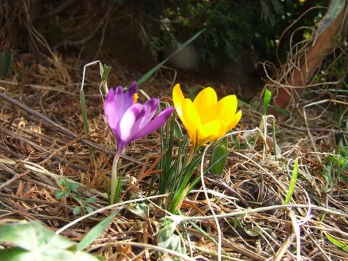 2008_02230001.JPG
