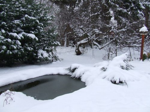 winterpond.jpg