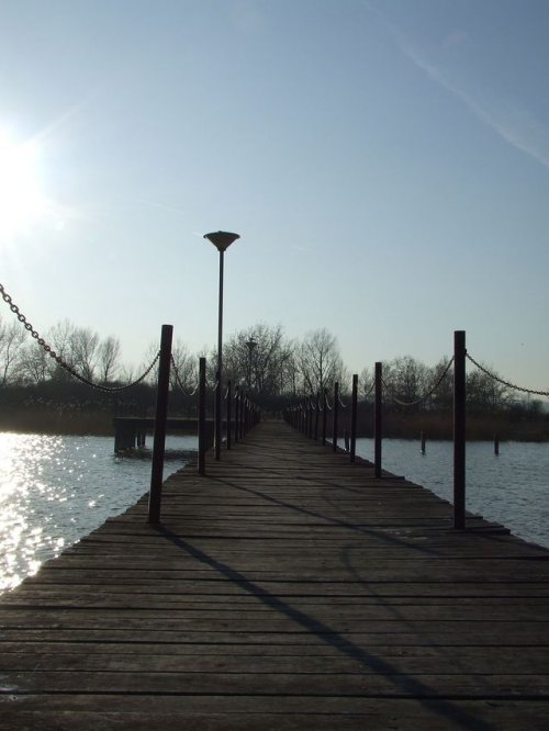 2008_02240063.JPG