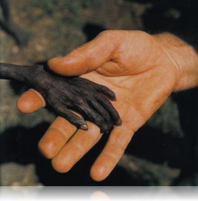 1980_uganda.jpg