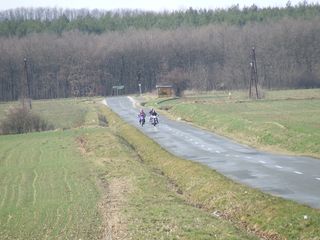 2008_02230153.JPG