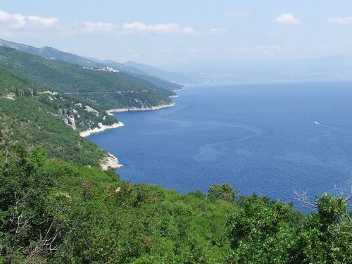 DSCF1238.JPG