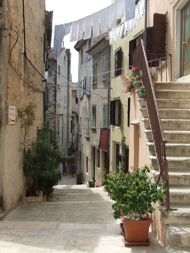 DSCF1553.JPG