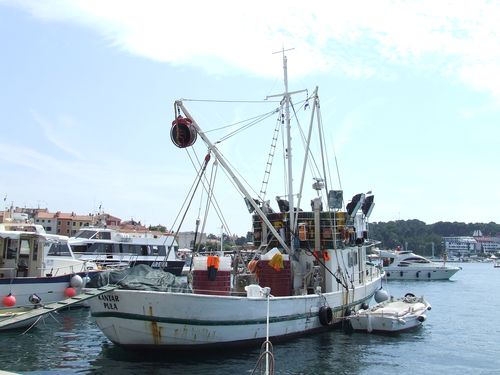 DSCF1560.JPG