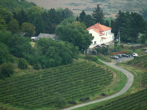 2008_09280052.JPG
