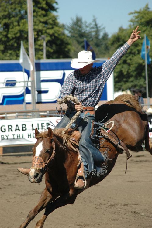 rodeo1_1.jpg