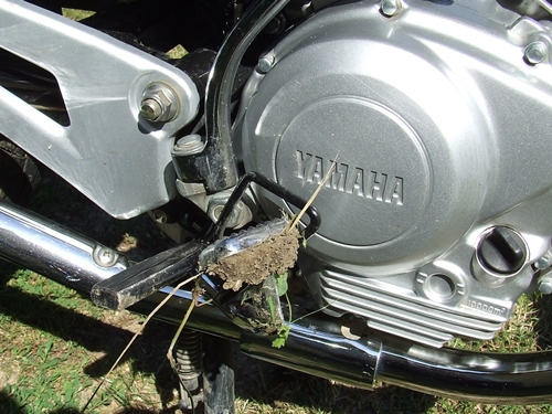 DSCF0838.JPG