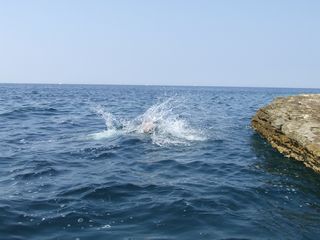 szil_rd_adria_spring_03.jpg